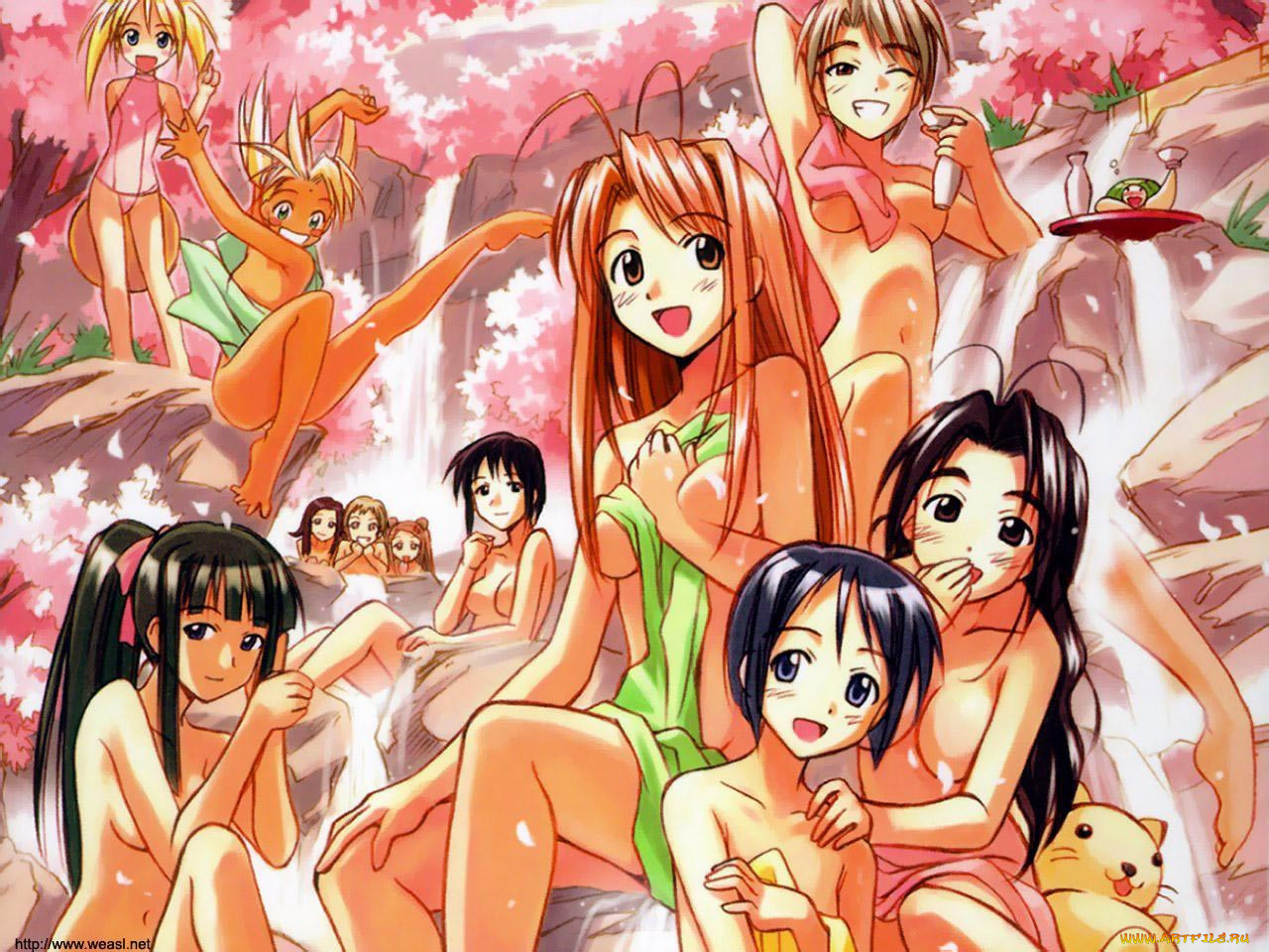 , love, hina